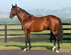 马拉加再次失利，保级境况堪忧的简单介绍