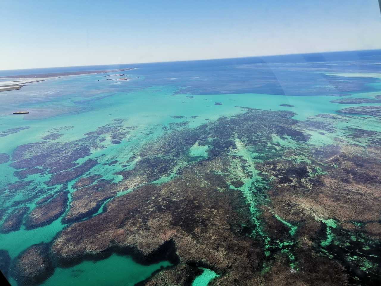 尼斯连续不败，出现转机迹象