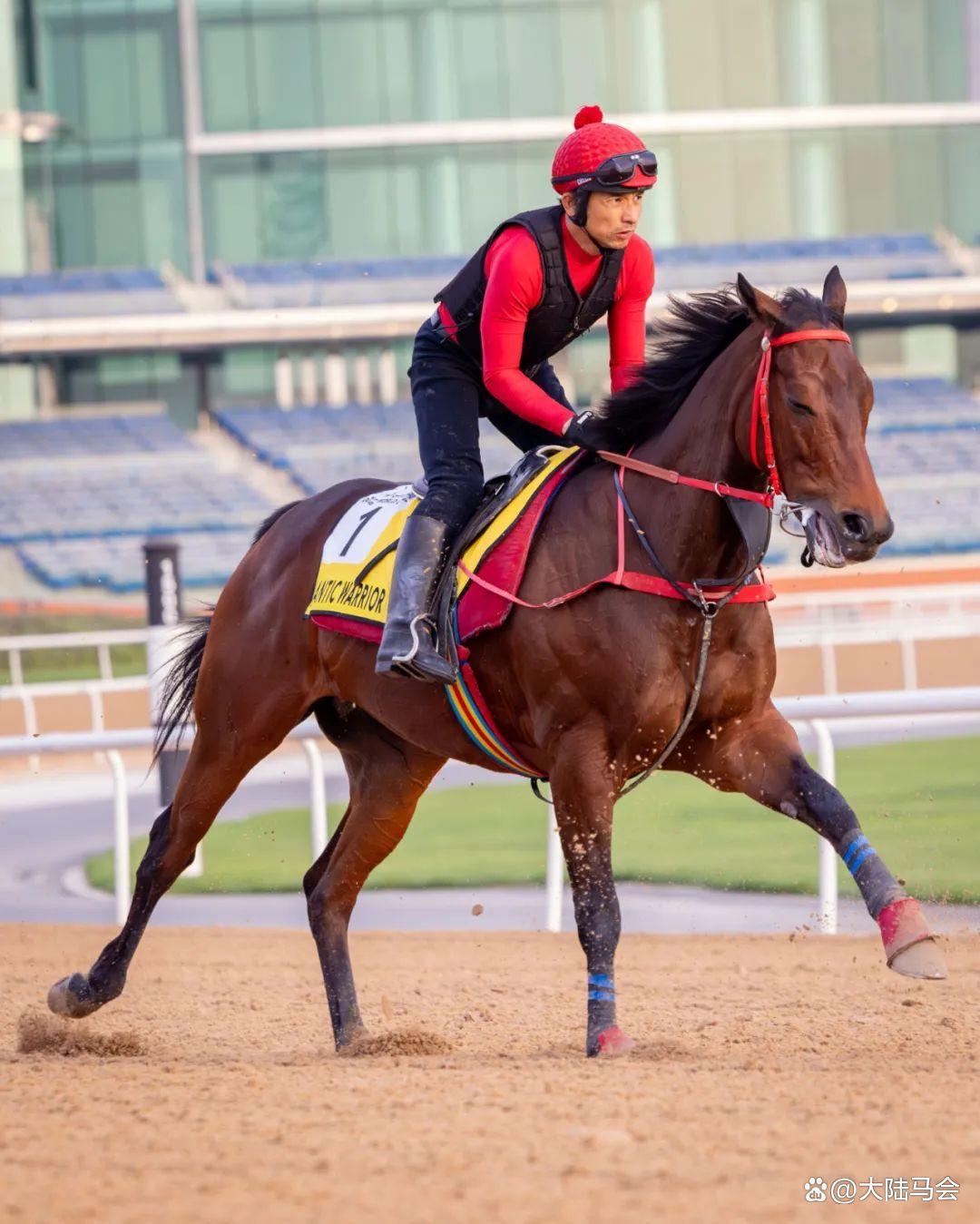 开云体育中国-关于勇士在迪拜宣布退役引热议的信息