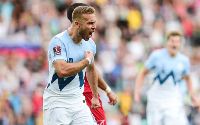 开云APP-斯洛文尼亚队战胜对手，士气高涨