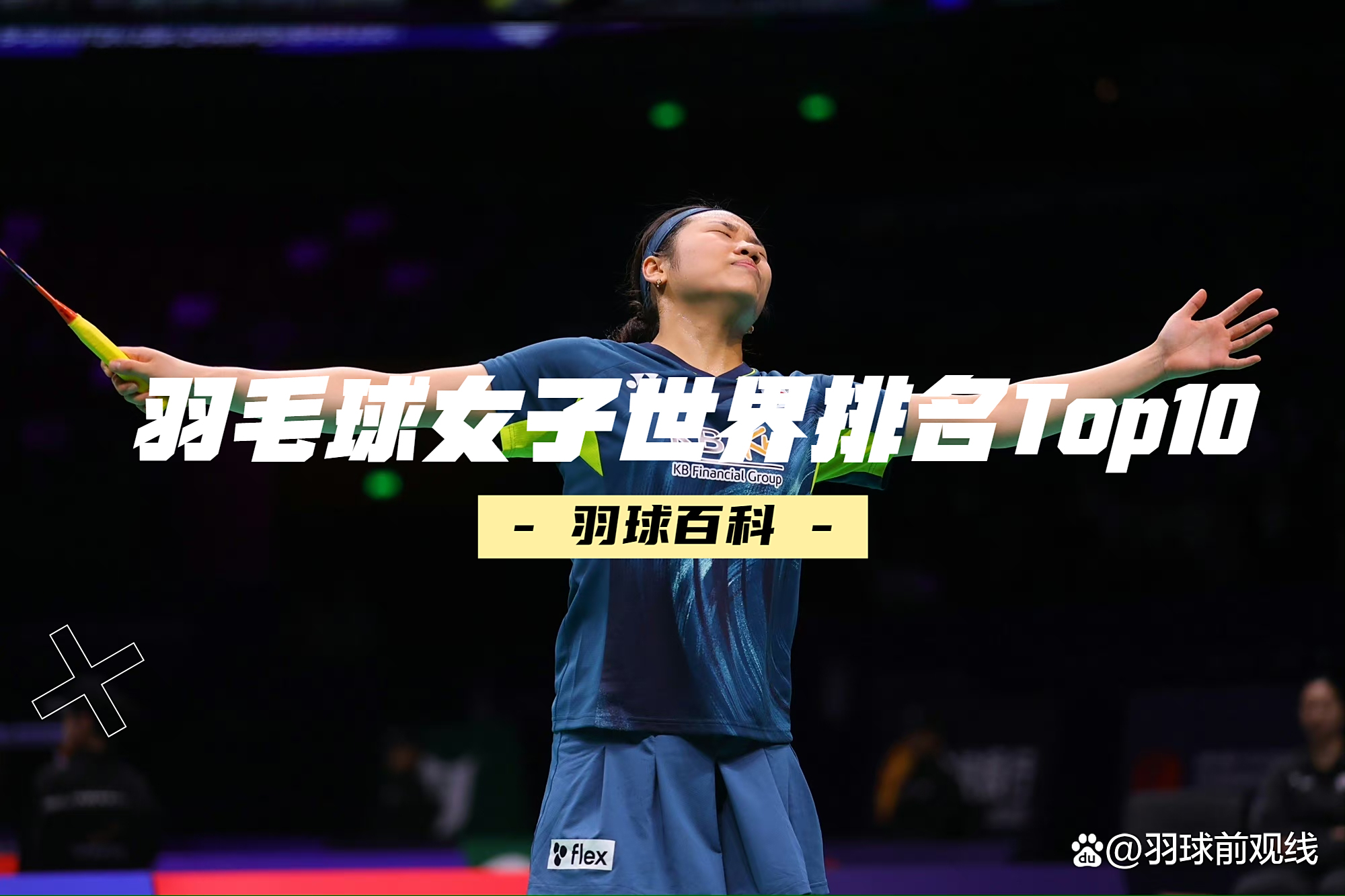 中国羽毛球队血洗泰国羽毛球队，马琳统治全场的简单介绍