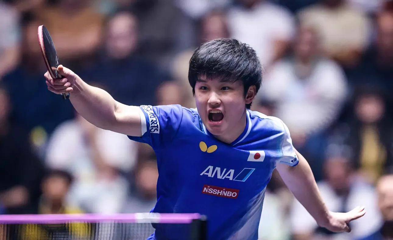 开云体育在线-关于奥地利队翻盘韩国队，张本智和状态火热的信息